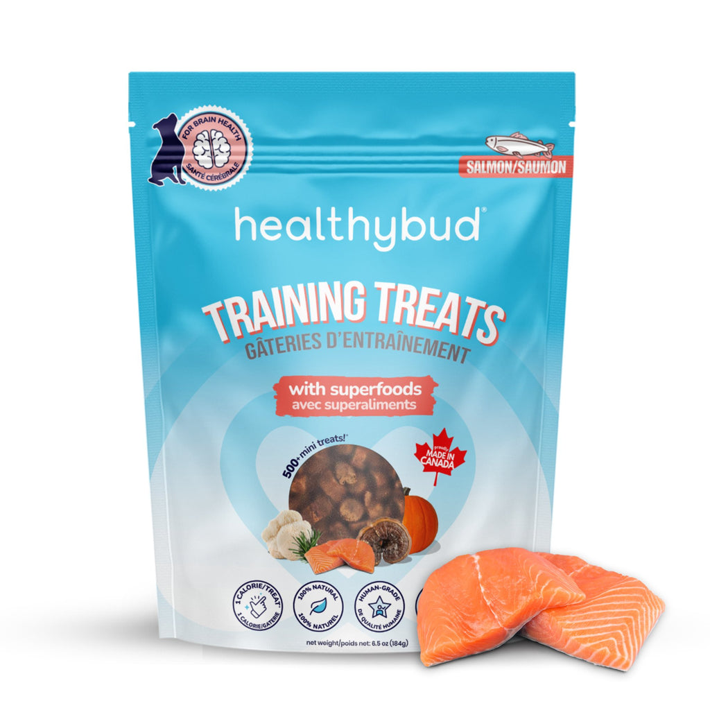 Salmon Mini Training Treats - healthybud