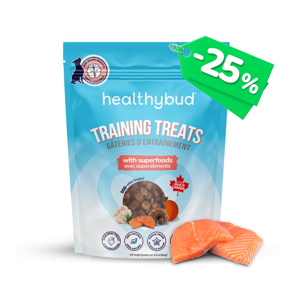 Salmon Mini Training Treats - healthybud