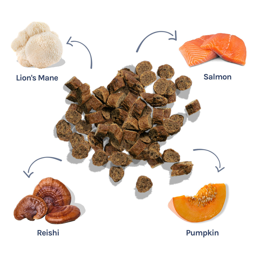 Salmon Mini Training Treats - healthybud