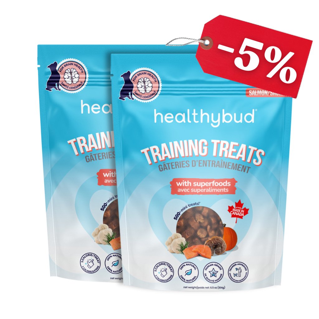 Salmon Mini Training Treats - healthybud