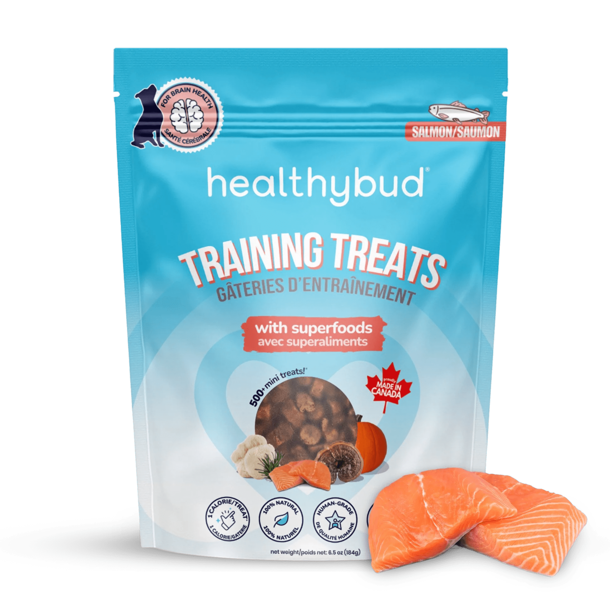 Salmon Mini Training Treats - healthybud