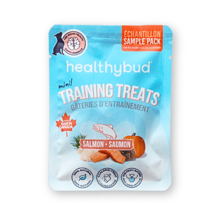 Salmon Training Treat - Sample - healthybud