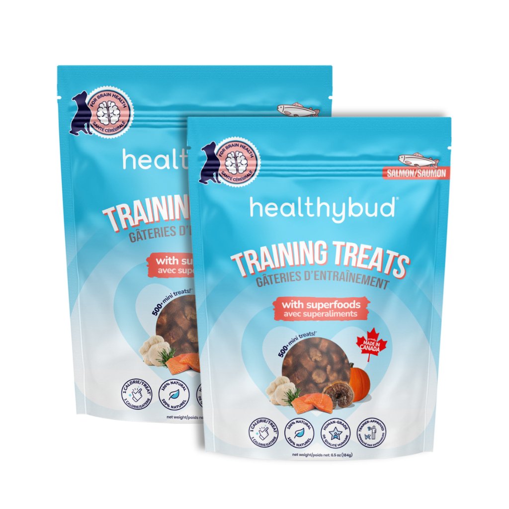 Salmon Training Treats - healthybud