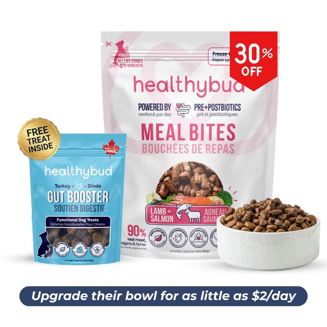 Small Dog Starter Kit (30 - Day Supply) - healthybud