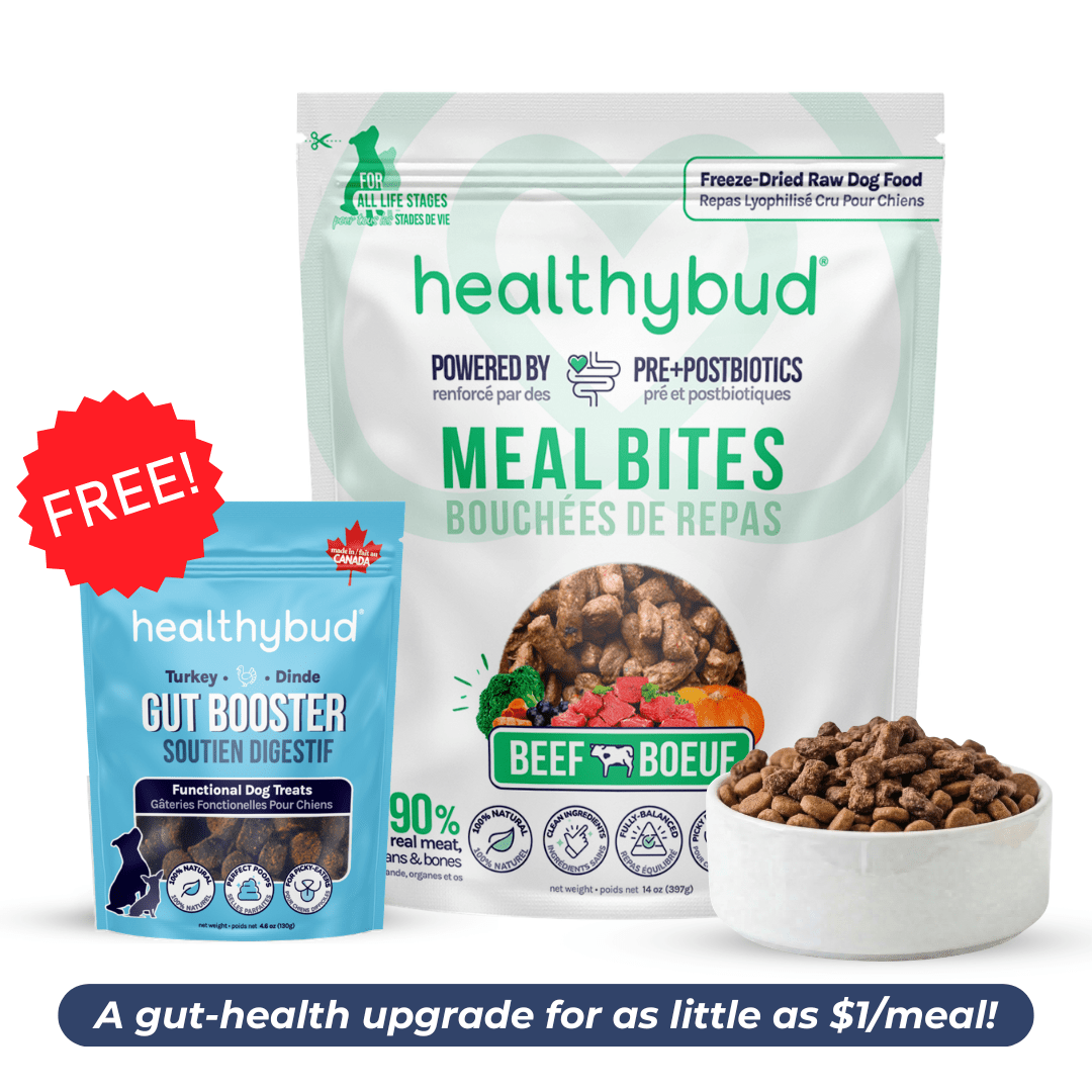 Small Dog Starter Kit (30-Day Supply) - healthybud