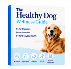 E-Guide