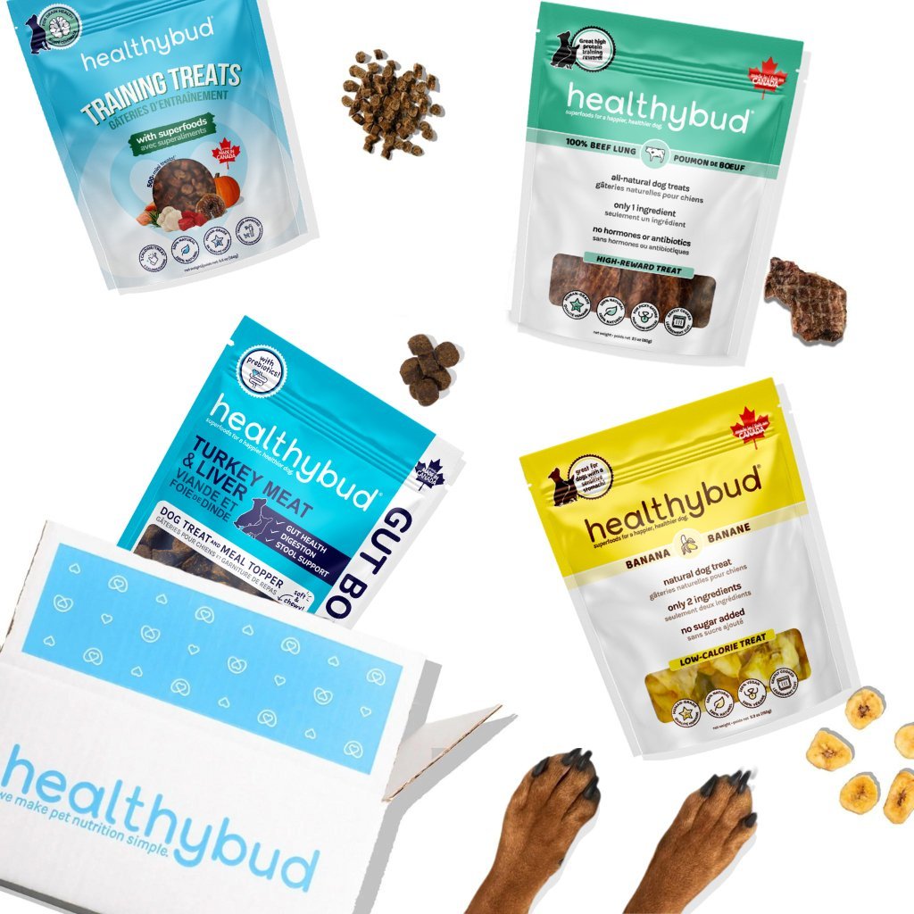 Training Bundle - healthybud