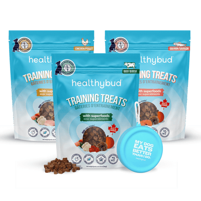 Assortiment varié de friandises d'entraînement