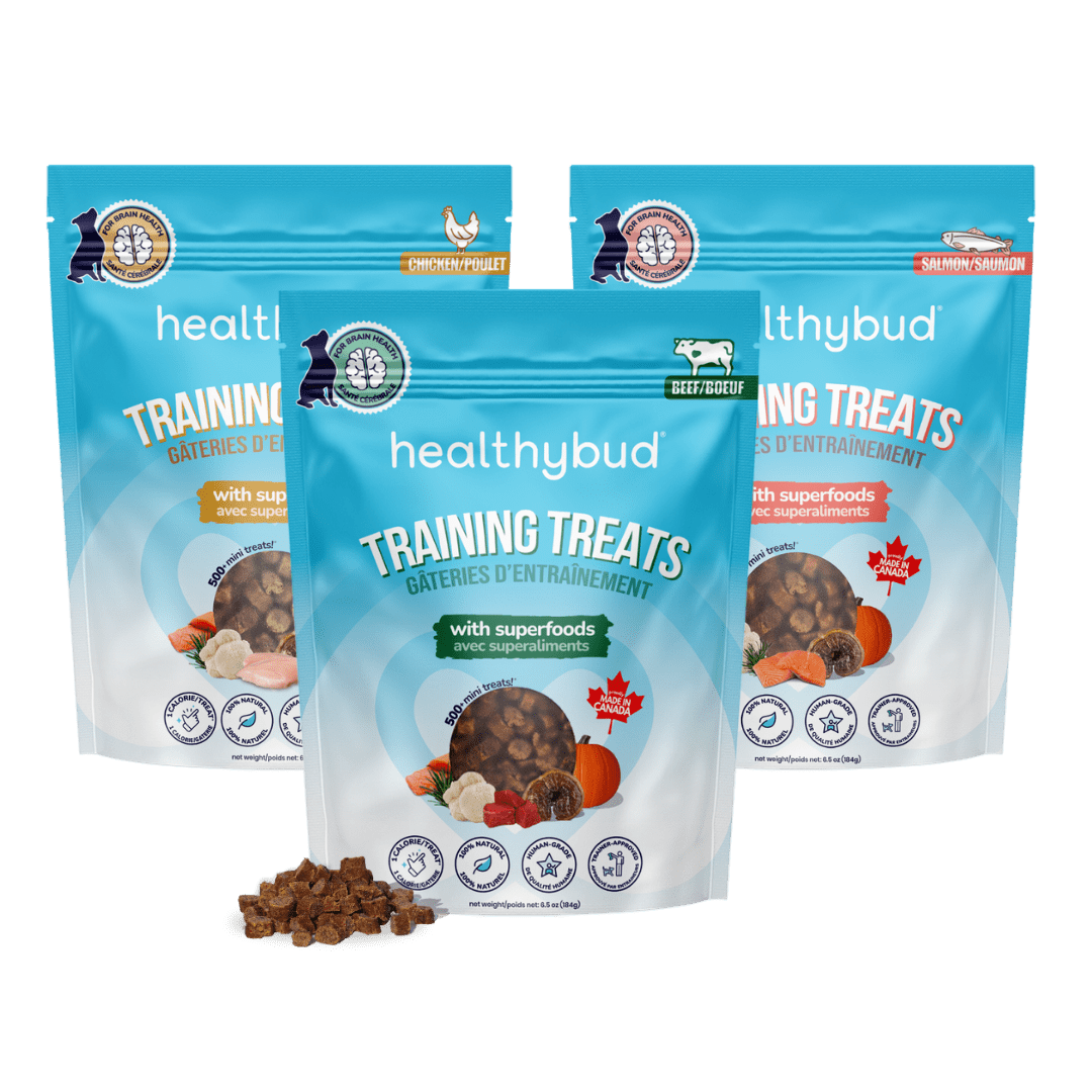Training Variety Pack - healthybud