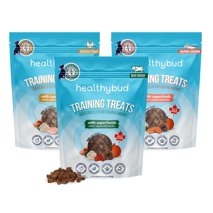 Training Variety Pack - healthybud