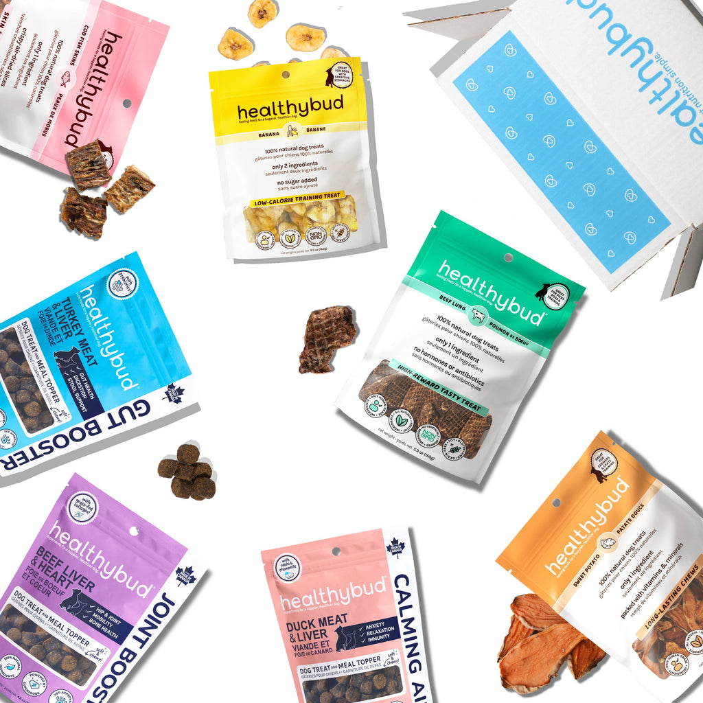 Treat Lover Bundle - healthybud