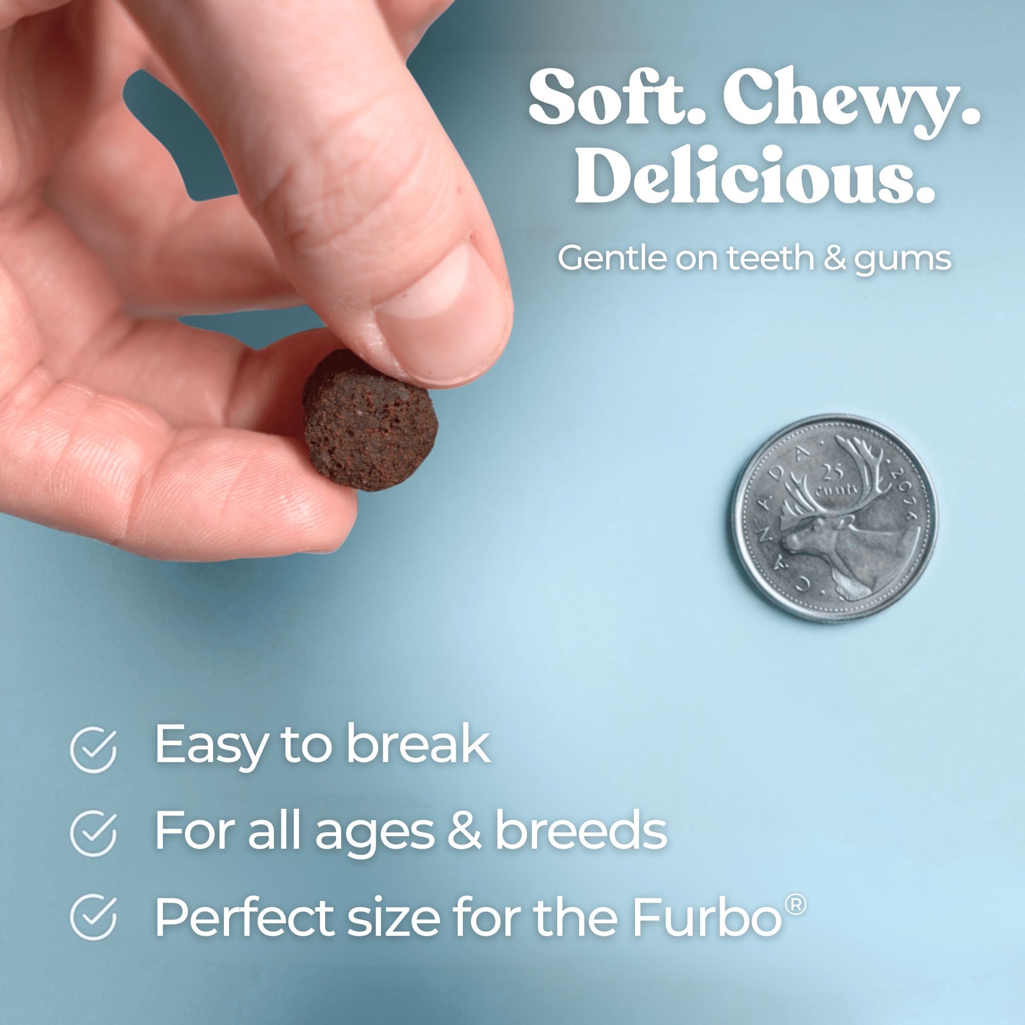 Turkey Gut Booster - healthybud