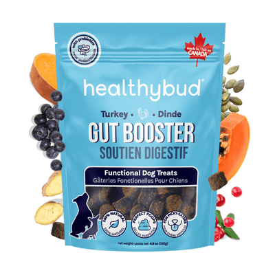 Gut Booster (Dinde)