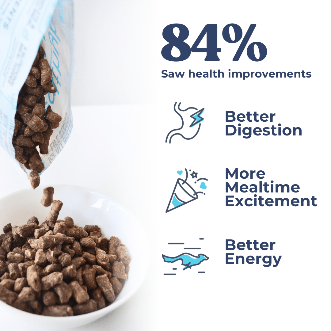 Turkey Meal Bites - healthybud