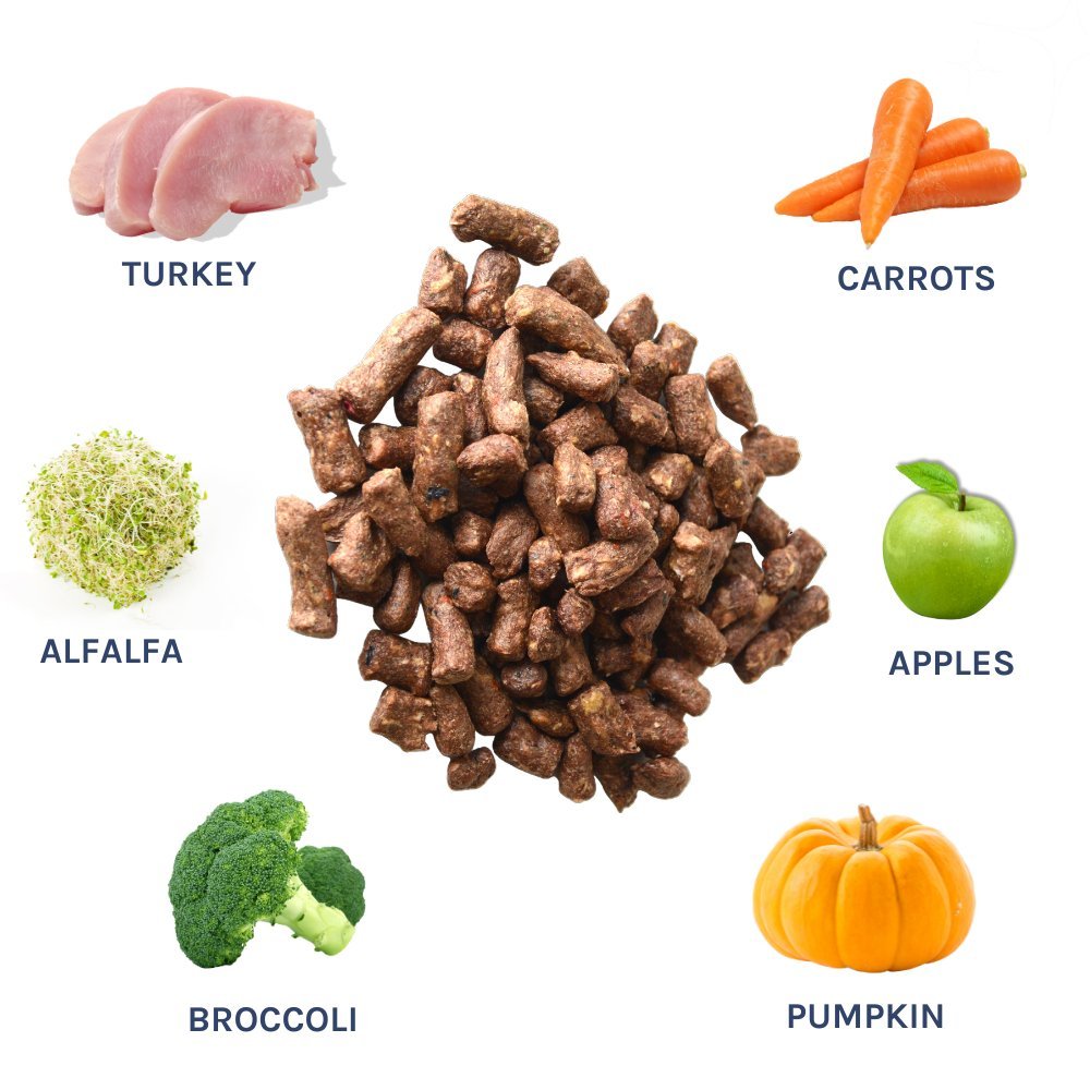 Turkey Meal Bites - healthybud