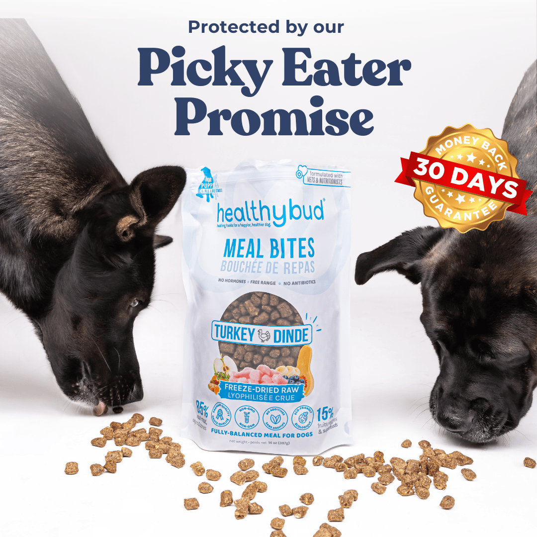 Turkey Meal Bites - healthybud