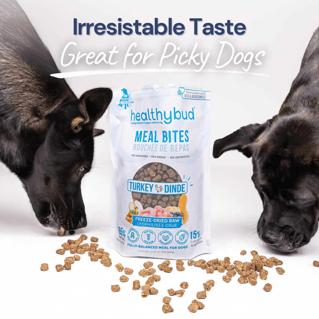 Turkey Meal Bites - healthybud