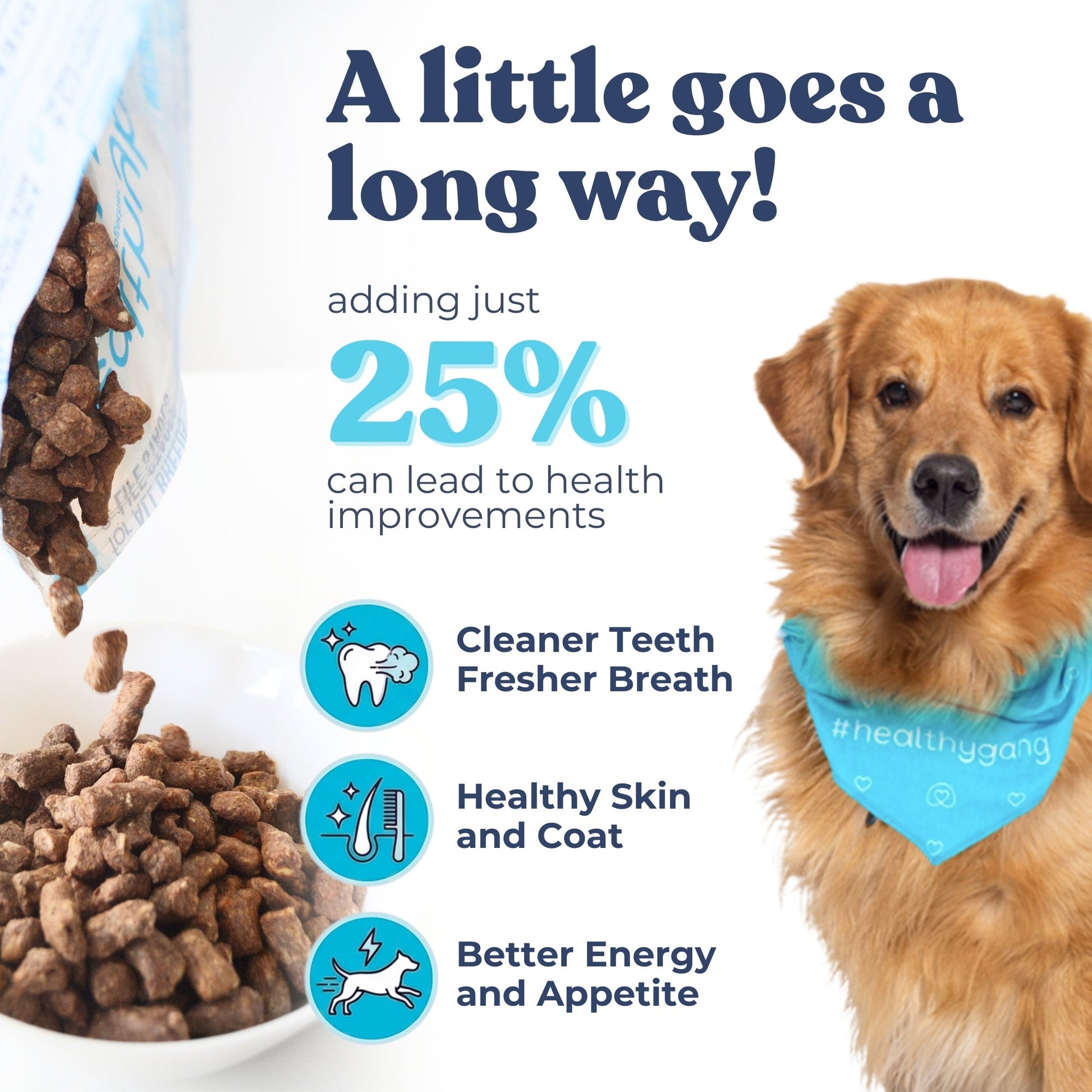 Turkey Meal Bites - healthybud