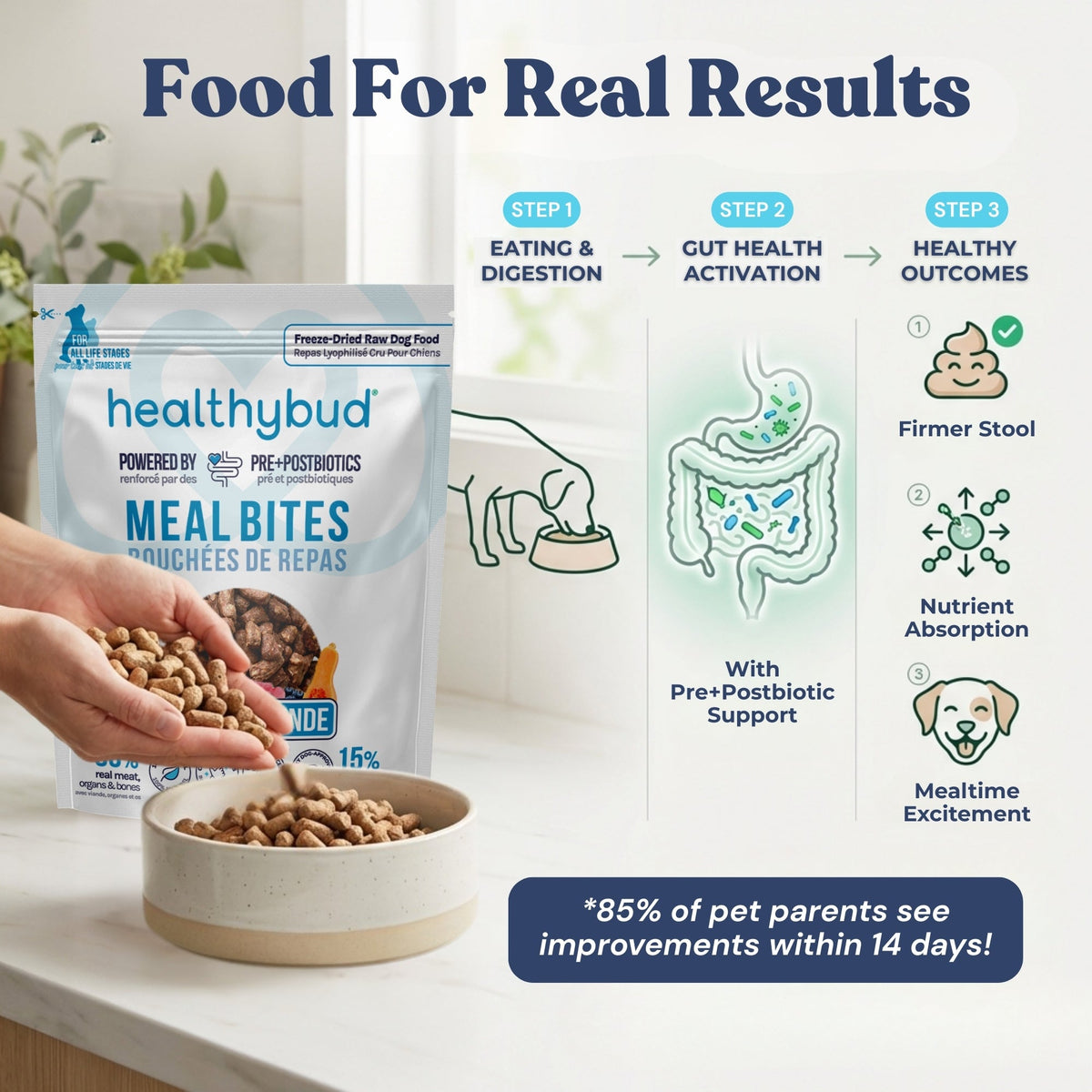 Turkey Meal Bites - healthybud