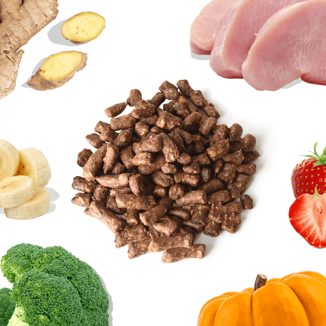 Turkey Meal Bites - healthybud