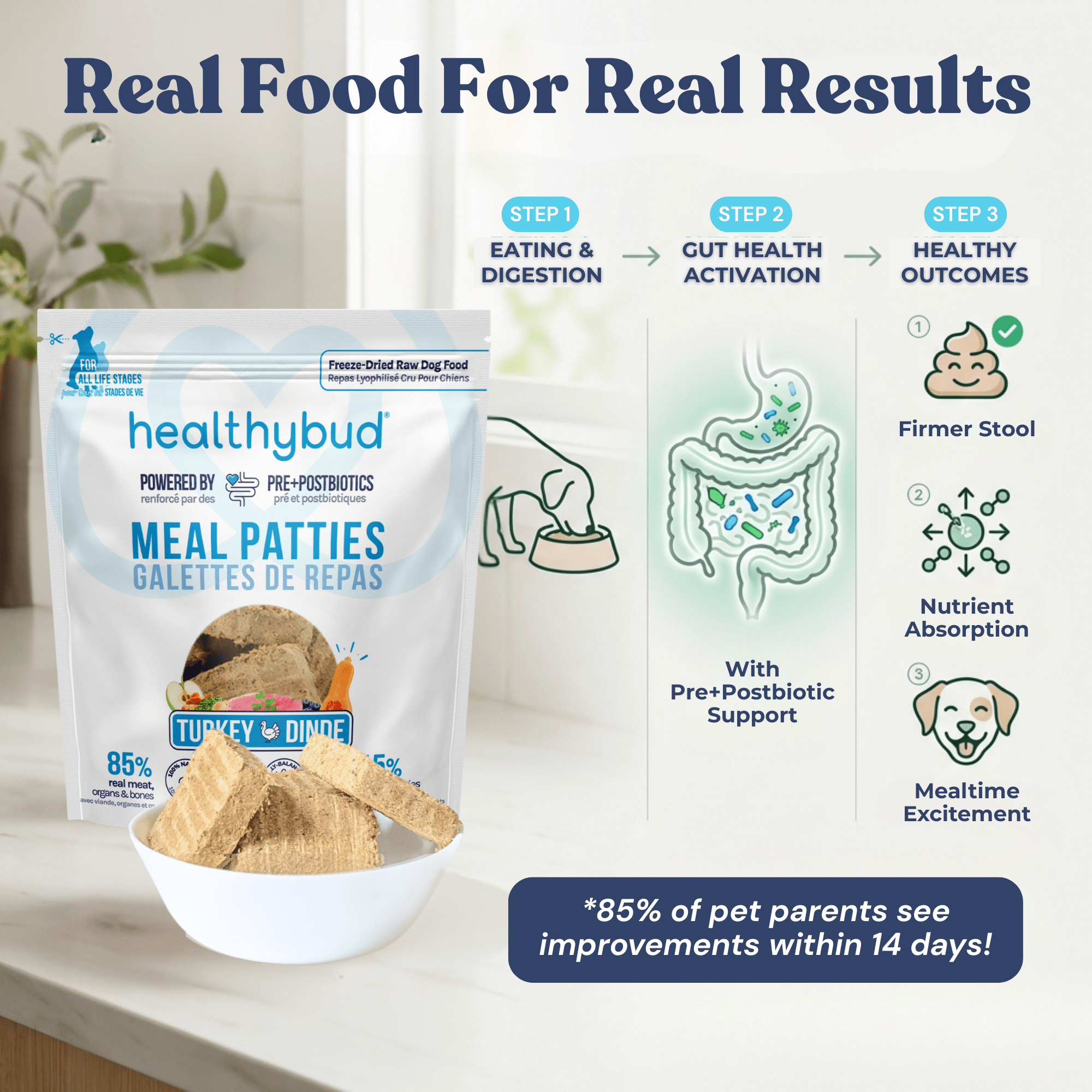 Turkey Meal Patties - healthybud