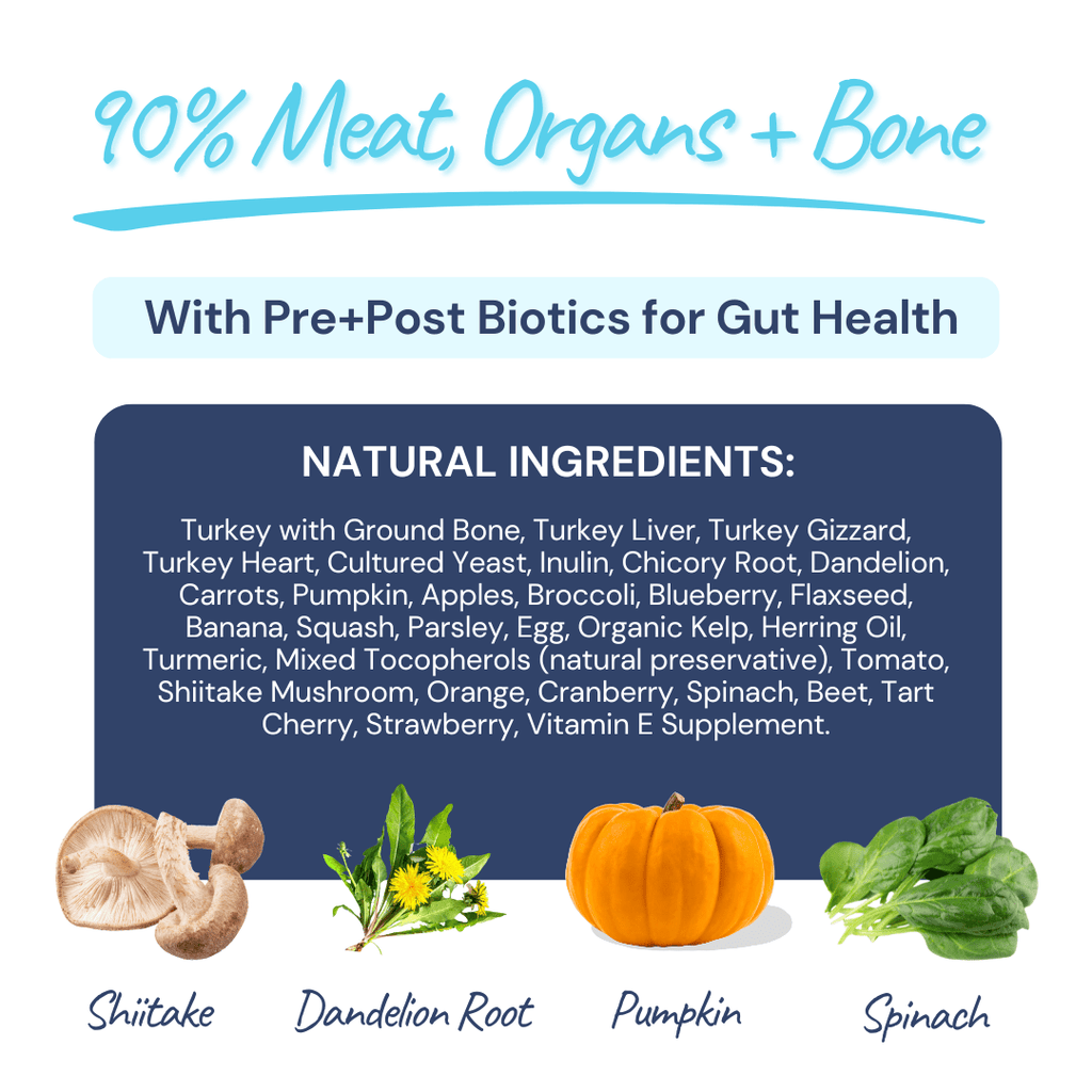 Turkey Meal Patties - healthybud