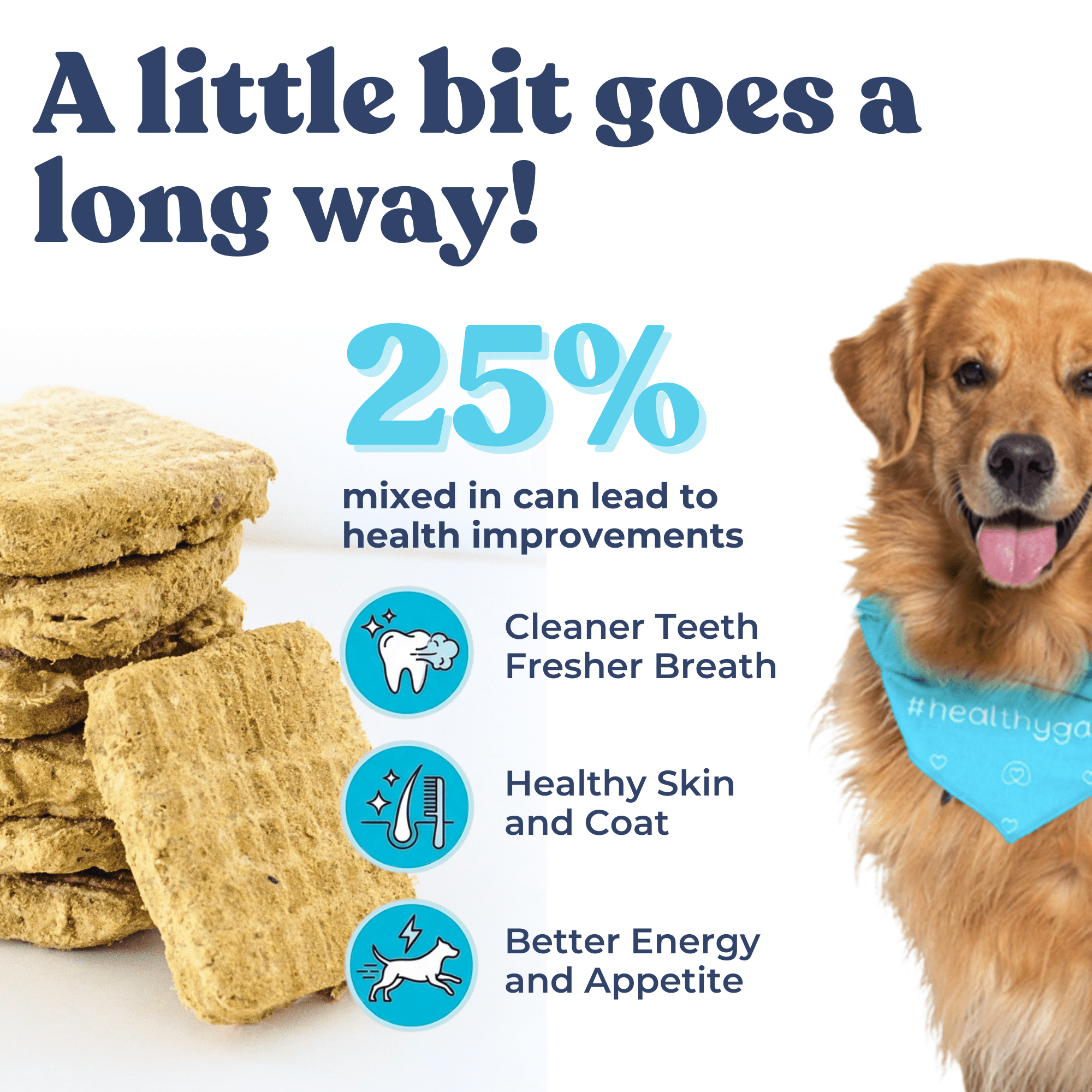 Turkey Meal Patties - healthybud